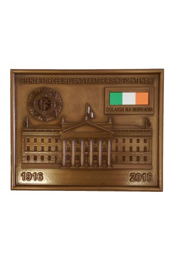 Defence Forces Ireland Bronze Plaque 5.6 inch